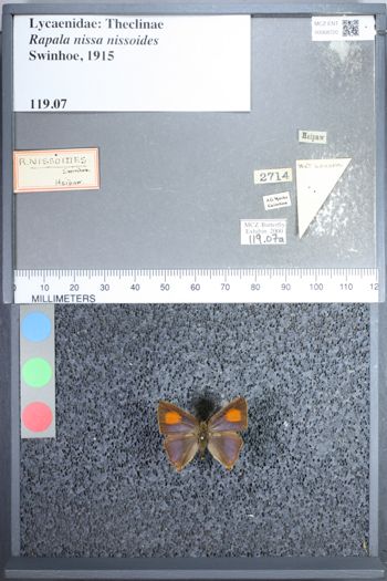 Media type: image;   Entomology 68720